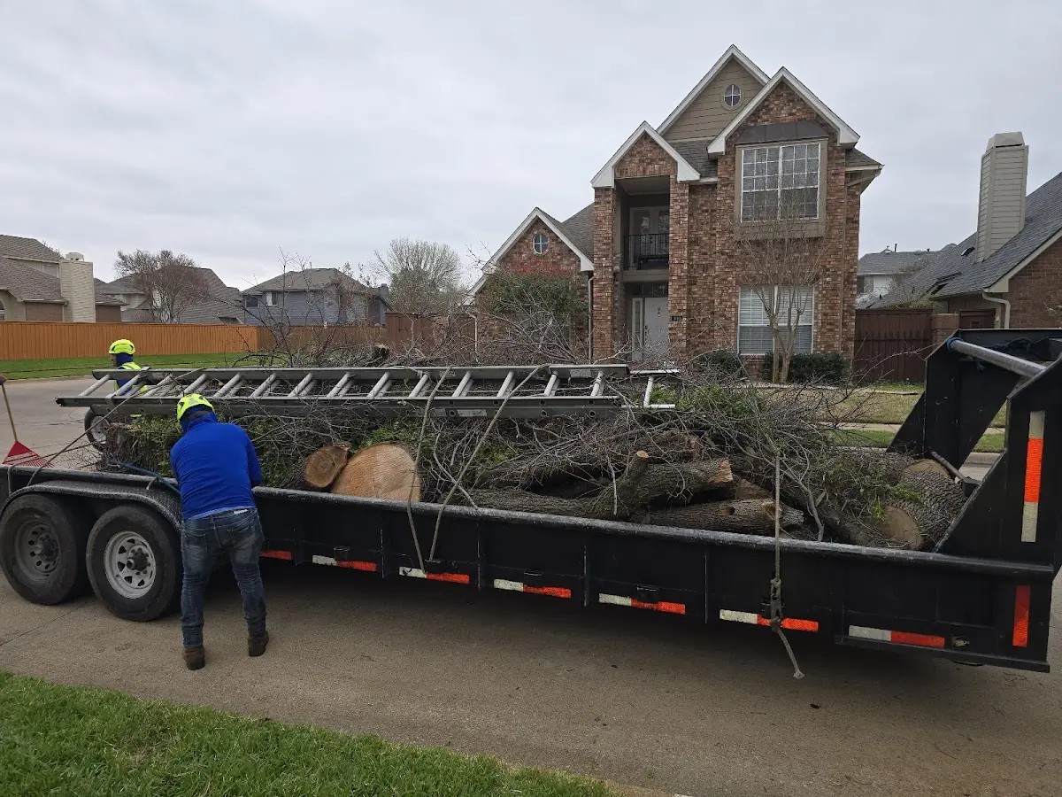 Expert Tree Fertilization with proper safety equipment in Badger